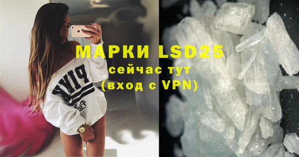 крисы Елабуга