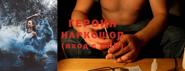 шишки Ельня