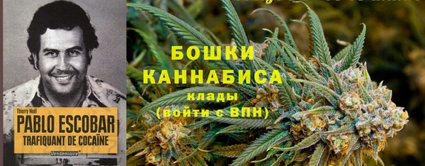 ALPHA-PVP Заводоуковск