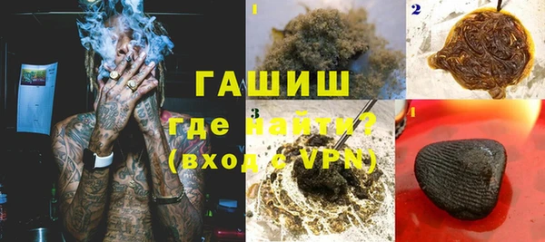 шишки Ельня